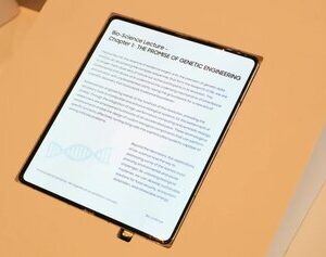 اولین نمایشگر تاشو بدون چین‌خوردگی سامسونگ به‌نمایش درآمد