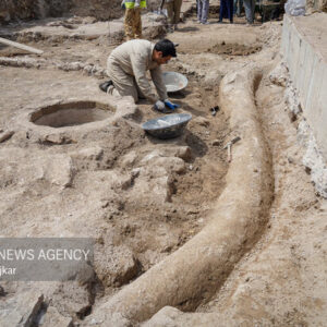 برگزاری بیست‌وسومین گردهم­ایی سالانه باستان­‌شناسی به تعویق افتاد
