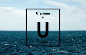 استخراج اورانیوم از آب دریا / گامی بزرگ به سوی انرژی نامحدود