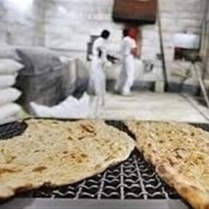 دولت اسیر استدلال‌های غلط مدافعان حذف یارانه نان نشود