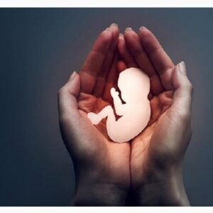 راه‌اندازی سامانه گزارش‌های مردمی درباره سقط غیرقانونی جنین