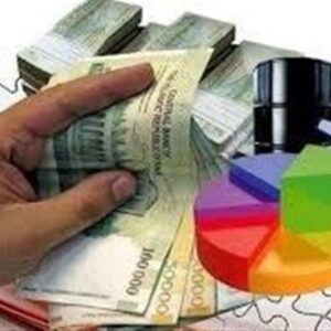 رتبه‌بندی کیفی و بانک اطلاعاتی؛ راهکار دولت برای رونق اقتصاد خرد
