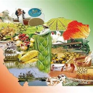 طرح ملی تنظیم بازار یکچارچه بخش کشاورزی آغاز شد طرح ملی تنظیم بازار یکچارچه بخش کشاورزی آغاز شد