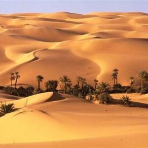 «نجات آب» ــ 69| حمایت از زنجیره ارزش پایدار محصولات در مناطق خشک