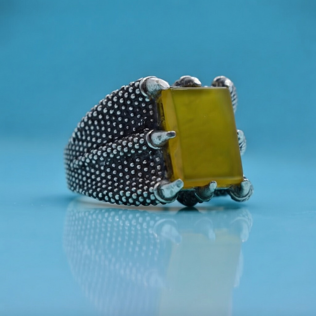 چرا شرف الشمس سیاه می شود؟ ۵ علت تغییر رنگ شرف الشمس زرد