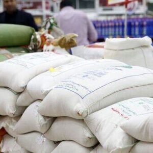 چشم انداز تولید غلات در ۲۰۲۶؛ تجارت برنج به اوج خود می رسد