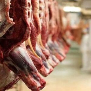 ترخیص گوشت در بنادر و استان‌های مرزی بدون مشکل