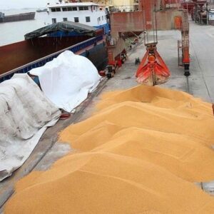 جهش تاریخی قیمت جهانی گندم و روغن در پی بحران خاورمیانه