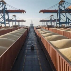 زنجیره تأمین غلات لحظه‌ای متوقف نمی‌شود