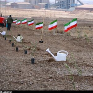 پیگیری طرح رهبر شهید برای کاشت یک میلیارد درخت با قوت بیشتر