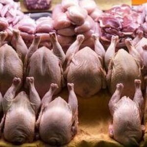 کشور همسایه به داد بازار مرغ ایران رسید