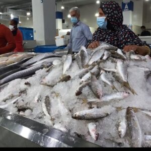 کمبودی در عرضه ماهی شب عید وجود ندارد