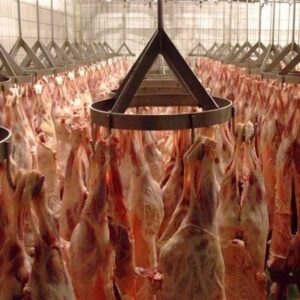 گوشت به وفور موجود است/ نیازی به استفاده از ذخایر استراتژیک نیست