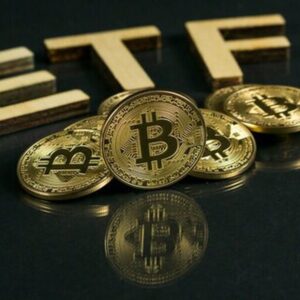 آخرین وضعیت بازار رمزارزها در جهان / خروج سرمایه از صندوق‌های بیت‌کوین رکورد زد