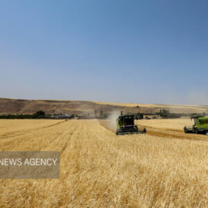 اجرای کامل قانون الزام با جدیت دنبال می‌شود