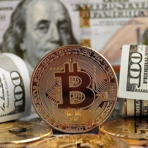 تاثیر سیاست‌های جهانی بر تصمیم‌گیری سرمایه گذاران در بازار ارزهای دیجیتال