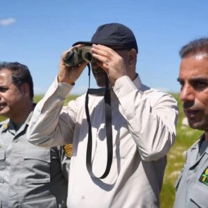 حبیبی: قراویز با حمایت مردم بهشت امن آهوان ایرانی شده است