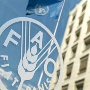 رشد 2.4 درصدی قیمت جهانی غذا در یک ماهه جنگ آمریکا علیه ایران