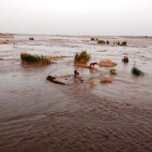 رهاسازی آب سد دز؛ کشاورزان و گردشگران از حریم رودخانه دز فاصله بگیرند