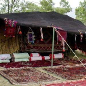 روایت یک جهش اقتصادی در کویر؛ سیاه چادرها برند شدند