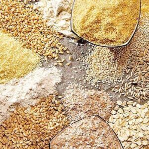 محدودیت واردات از طریق بنادر جنوبی کشور / اولین محموله نهاده دامی نیز از بنادر شمالی وارد کشور شده است