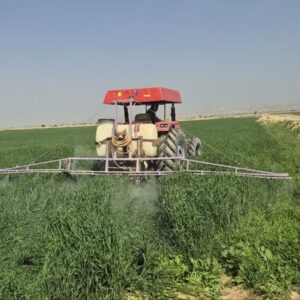 پیش‌بینی برداشت ۱۰ هزار تن گندم و جو در سربیشه