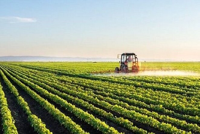 ۴۳۰۰ بهره‌بردار کشاورزی آذربایجان ‌غربی توانمند شدند