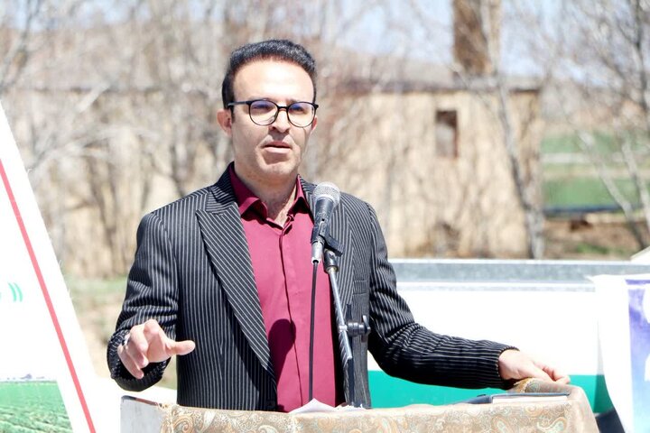 ۷۰۰ هکتار گندم و ۲ هزار هکتار لوبیا با روش نوین در ازنا کشت می‌شود