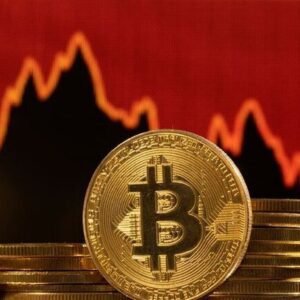 آخرین وضعیت بازار رمزارزها در جهان / افزایش قیمت بیتکوین معکوس شد آخرین وضعیت بازار رمزارزها در جهان / افزایش قیمت بیتکوین معکوس شد