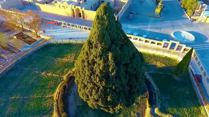 سرو ۴۵۰۰ ساله ابرکوه؛ پاسخ تاریخی «پزشکیان» به غرور «ترامپ» سرو ۴۵۰۰ ساله ابرکوه؛ پاسخ تاریخی «پزشکیان» به غرور «ترامپ»