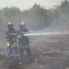 جزئیات سوختن ۱۰۰ اصله درخت در آتش‌سوزی مهیب مشهد