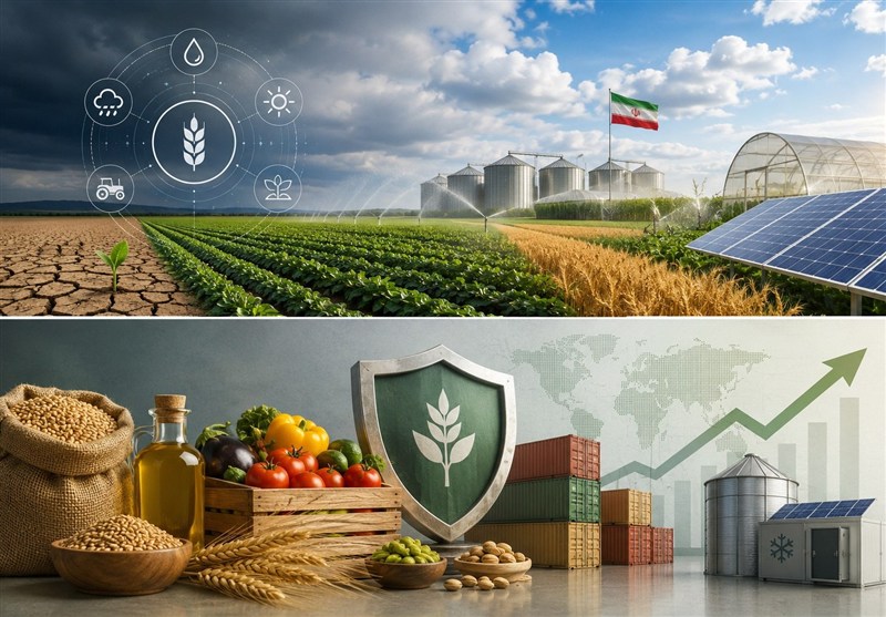 اقتصاد مقاومتی؛ وقتی یارانه هوشمند، امنیت غذایی را بیمه میکند اقتصاد مقاومتی؛ وقتی یارانه هوشمند، امنیت غذایی را بیمه میکند