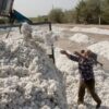 ایران بزرگ‌ترین خریدار پنبه تاجیکستان شد