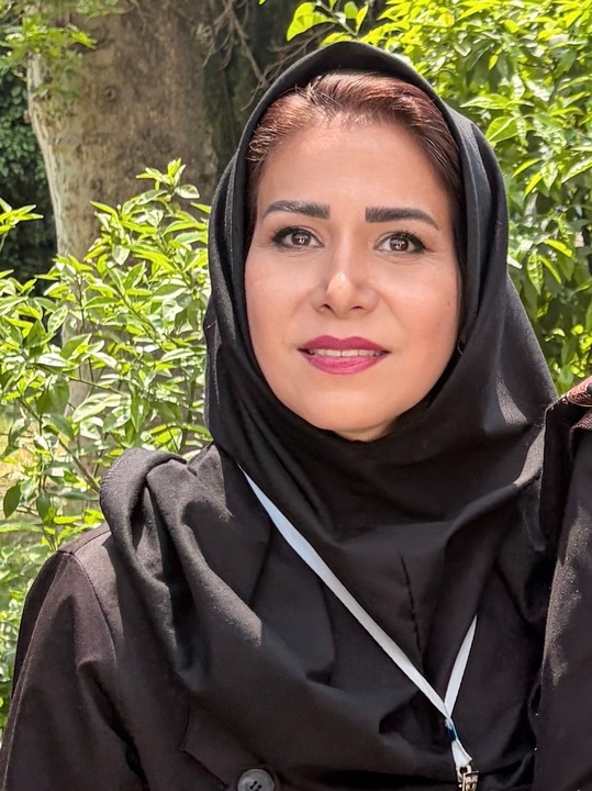 شیخ صفیالدین اردبیلی عارفی که میراث معنوی ایران را جاودانه کرد شیخ صفیالدین اردبیلی عارفی که میراث معنوی ایران را جاودانه کرد