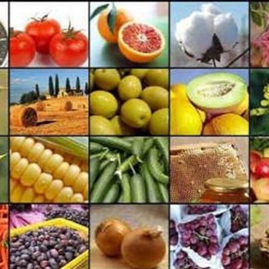 صادرات 15 محصول کشاورزی آزاد شد+ جدول