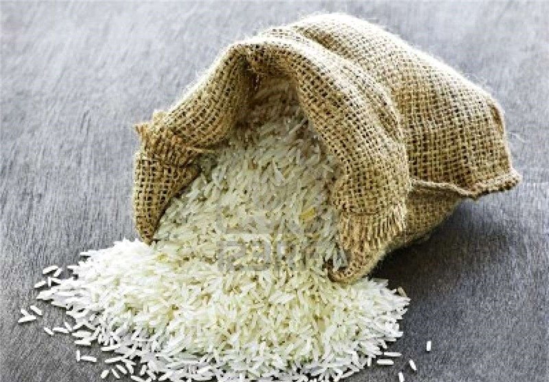 لغو ممنوعیت واردات برنج در فصل برداشت لغو ممنوعیت واردات برنج در فصل برداشت
