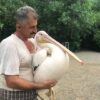 همزیستی پلیکان و صیاد مستند شد
