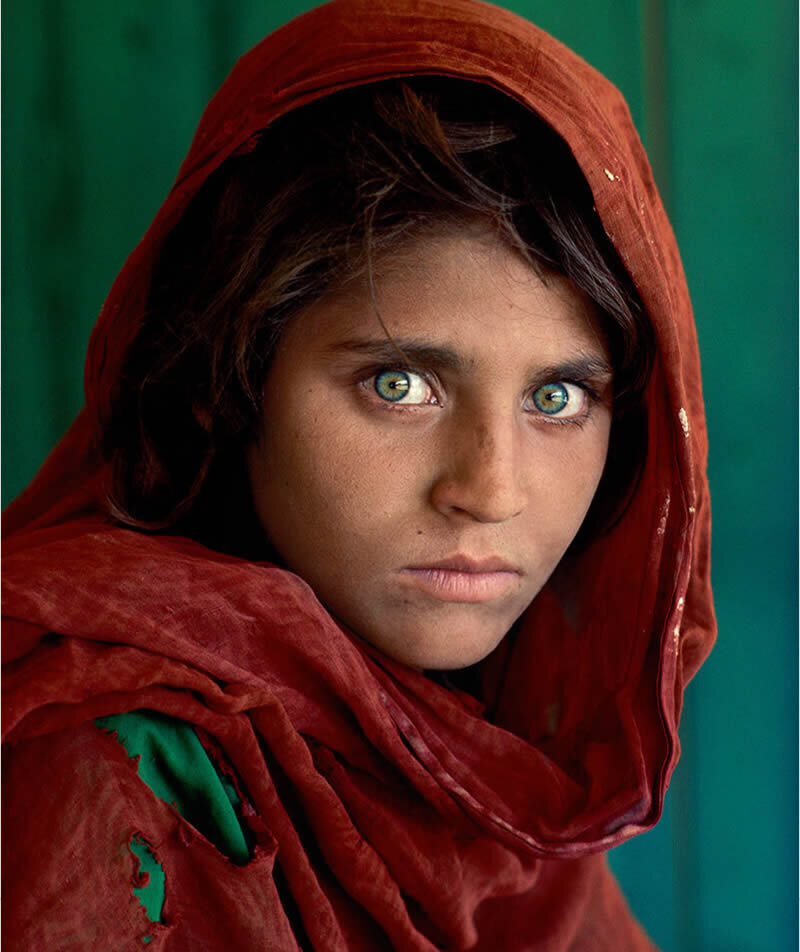 از صفحه ویندوز تا ساحل نیوزیلند / داستان یک عکس ماندگار