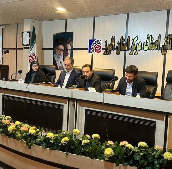 انصاری: مسائل جامعه صنفی با جدیت در کمیسیون نظارت و ستاد تسهیل دنبال می‌شود