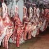 تاکنون مجوز عرضه گوشت اسب و الاغ صادر نشده