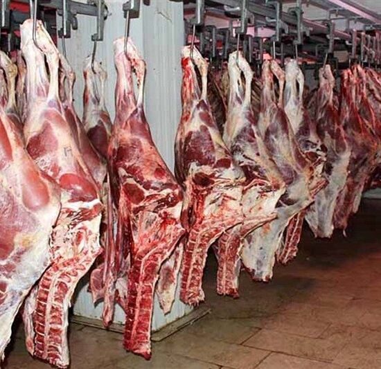 تاکنون مجوز عرضه گوشت اسب و الاغ صادر نشده