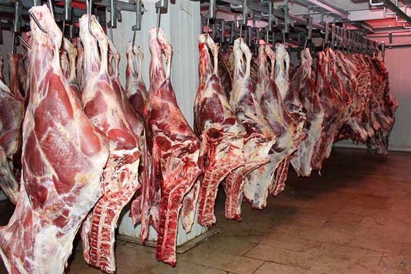 تاکنون مجوز عرضه گوشت اسب و الاغ صادر نشده تاکنون مجوز عرضه گوشت اسب و الاغ صادر نشده