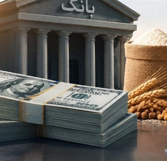 تسهیلات ارزی برای واردات کالای اساسی؛منابع بانک‌ها ازکجا تأمین می‌شود؟