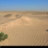 تصویب پیشنهادات ایران در کنوانسیون مقابله با بیابان زایی