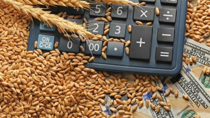 خرید گندم توسط دلالان تا ۶۰ هزار تومان در مناطق مرزی