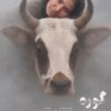 پوستر «گوره» رونمایی شد/ مرجان اشرفی‌زاده: باید این مرز را رد می‌کردم!