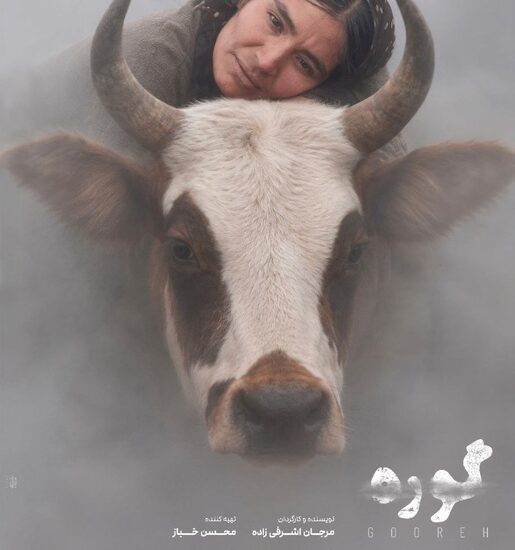 پوستر «گوره» رونمایی شد/ مرجان اشرفی‌زاده: باید این مرز را رد می‌کردم!