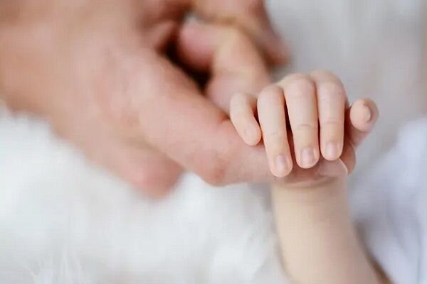 شرایط استفاده از روشهای کمک باروری؛ چه زمانی IVF پیشنهاد میشود شرایط استفاده از روشهای کمک باروری؛ چه زمانی IVF پیشنهاد میشود