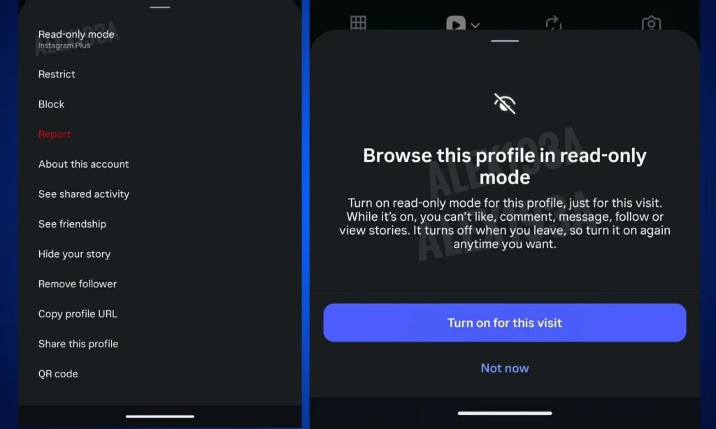 قابلیت آزمایشی اینستاگرام لو رفت / بی‌سروصدا به پروفایل‌ها سرک بکشید